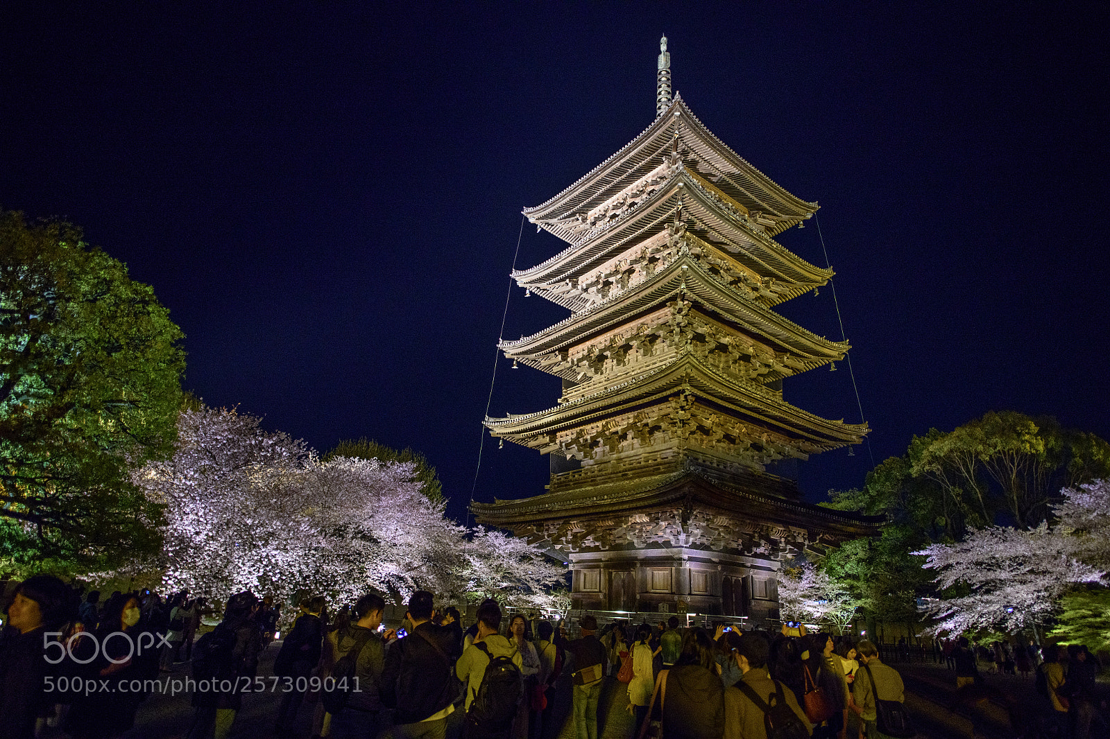 Nikon D850 sample photo. Kyoto photography