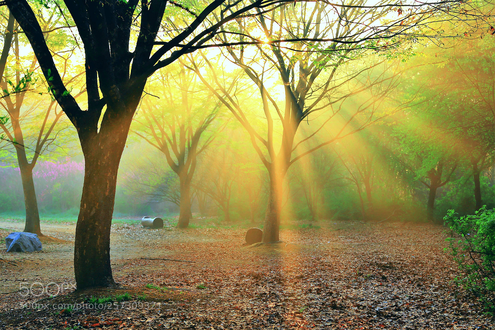 Canon EOS 6D sample photo. Light photography