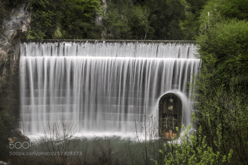 Nikon D850 sample photo. La malva-asturias photography