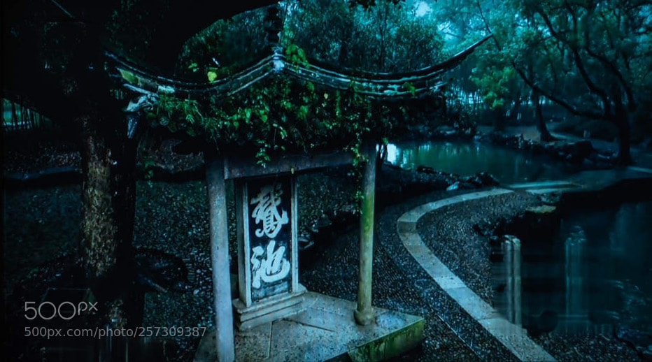Nikon D750 sample photo. 1.jpg photography