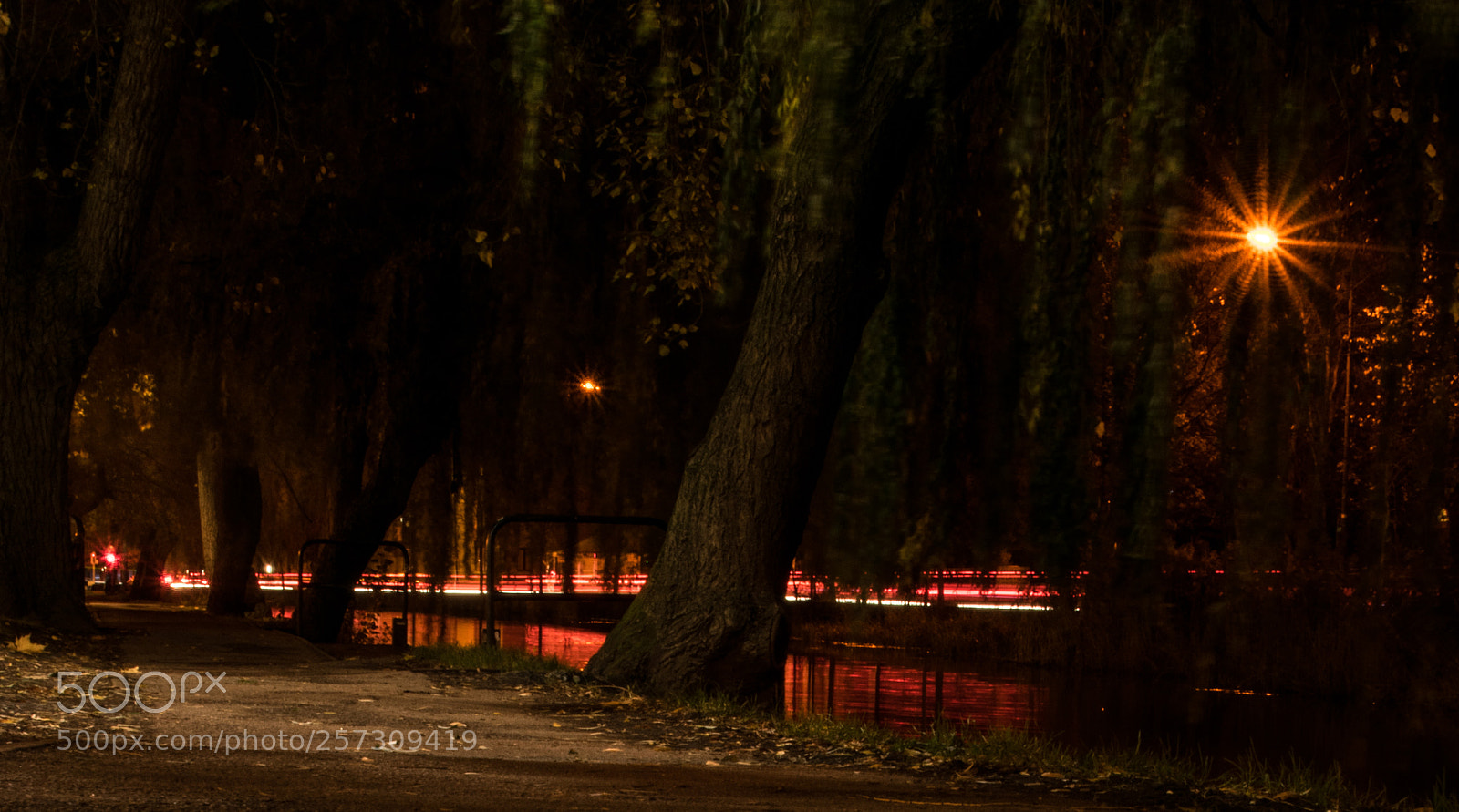 Nikon D3300 sample photo. Night view photography