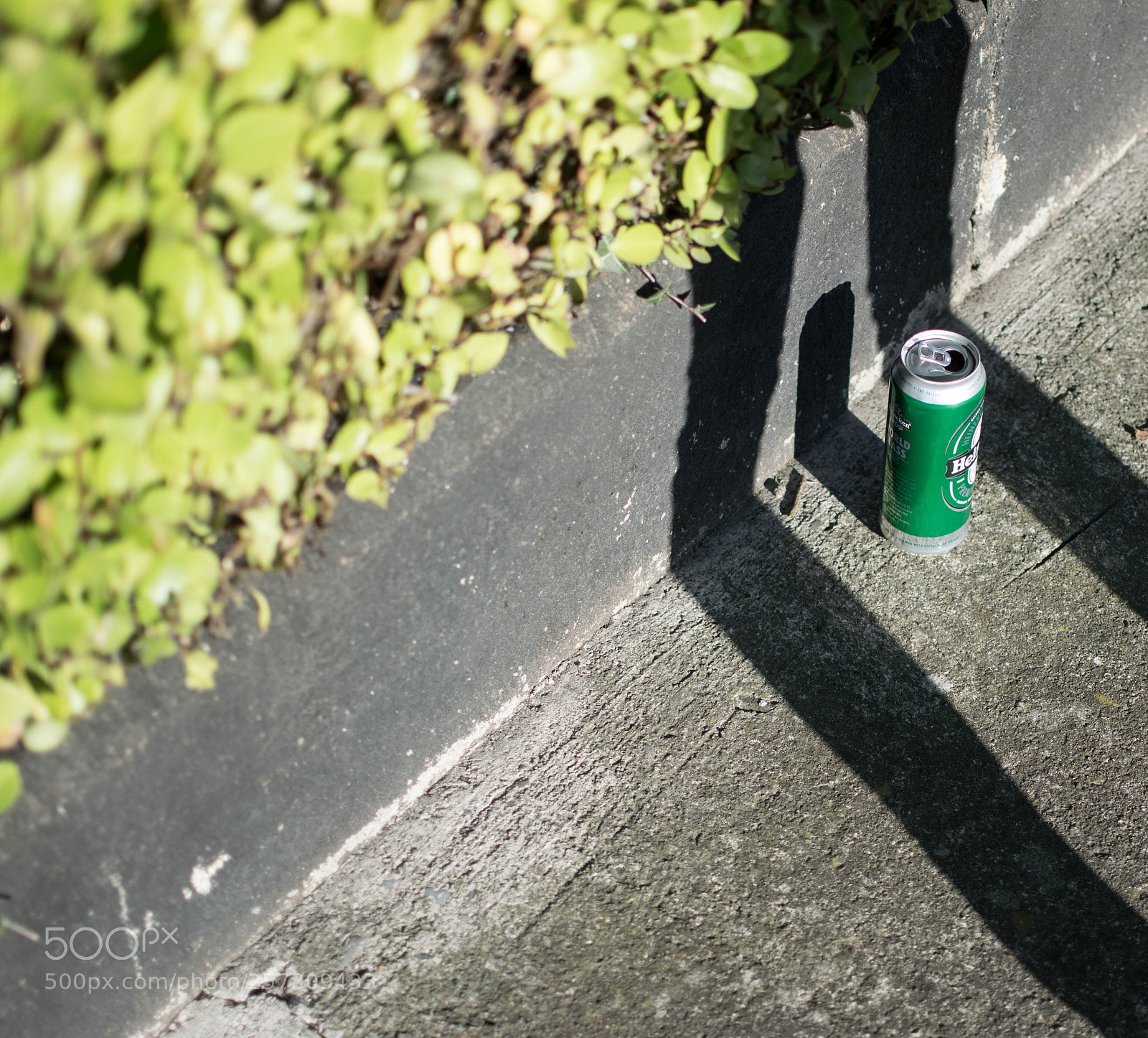 Nikon D3300 sample photo. Metaphor photography