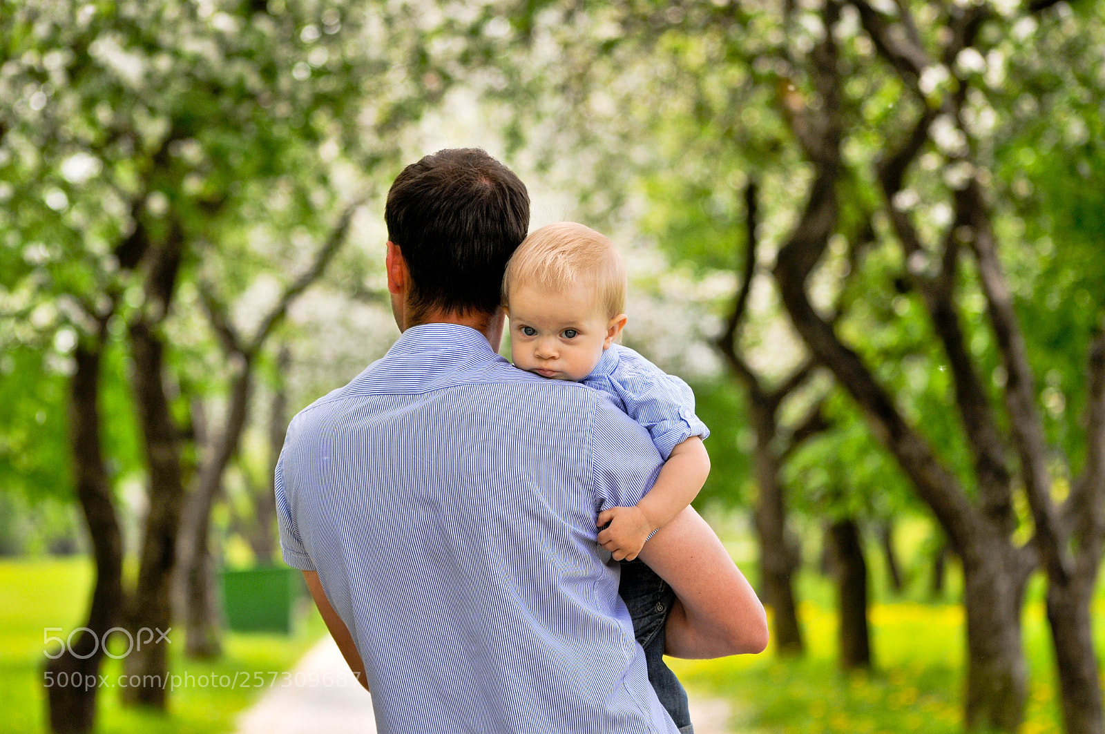 Nikon D300S sample photo. Untitled photography