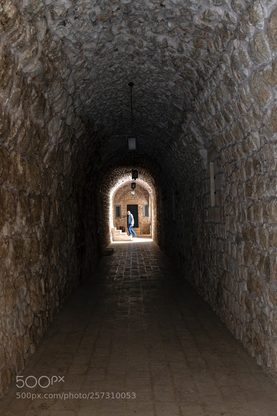 Sony a7R III sample photo. Dsc photography