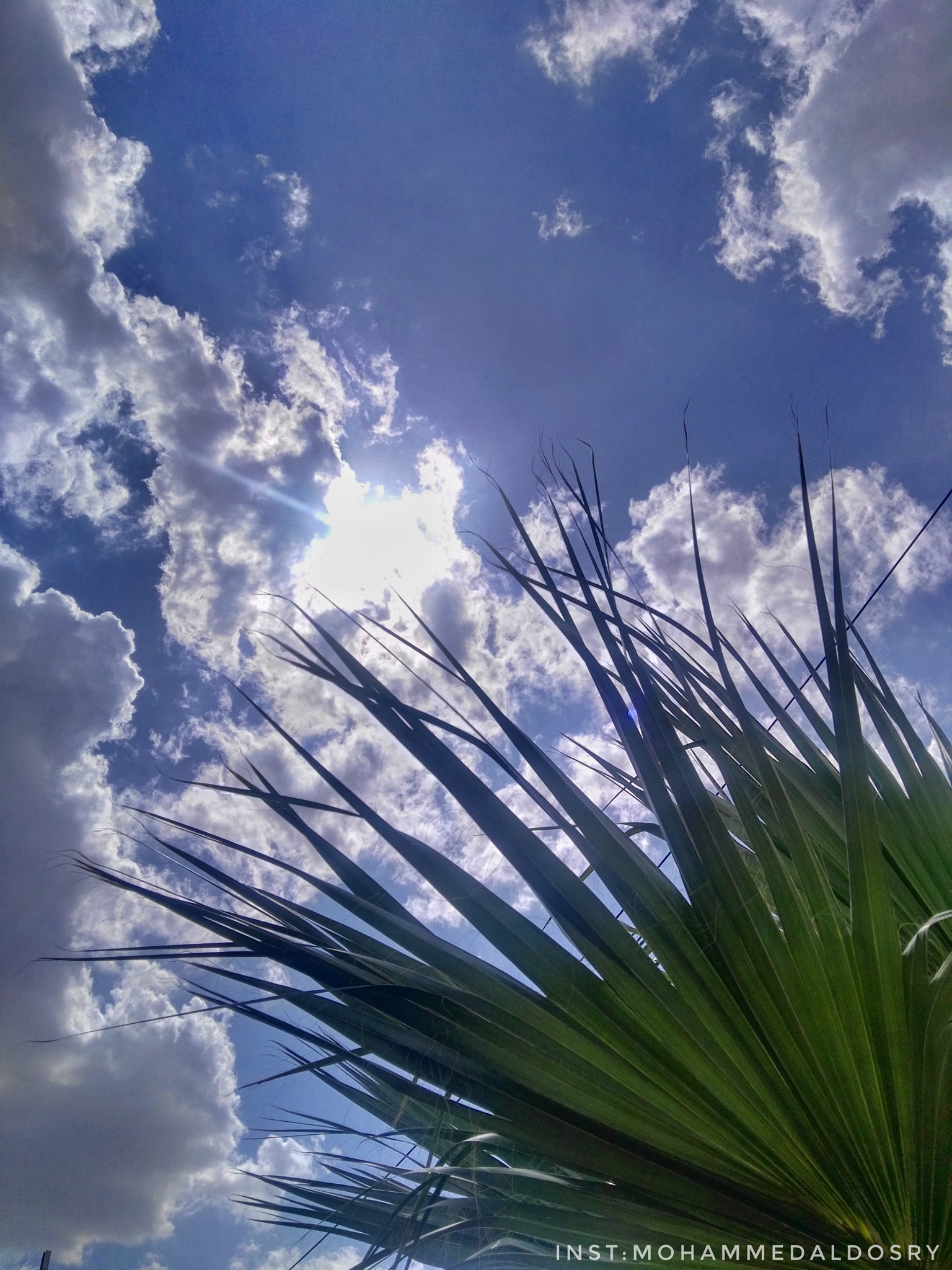 HUAWEI GX8 sample photo. 🌤️☁️🌴 photography
