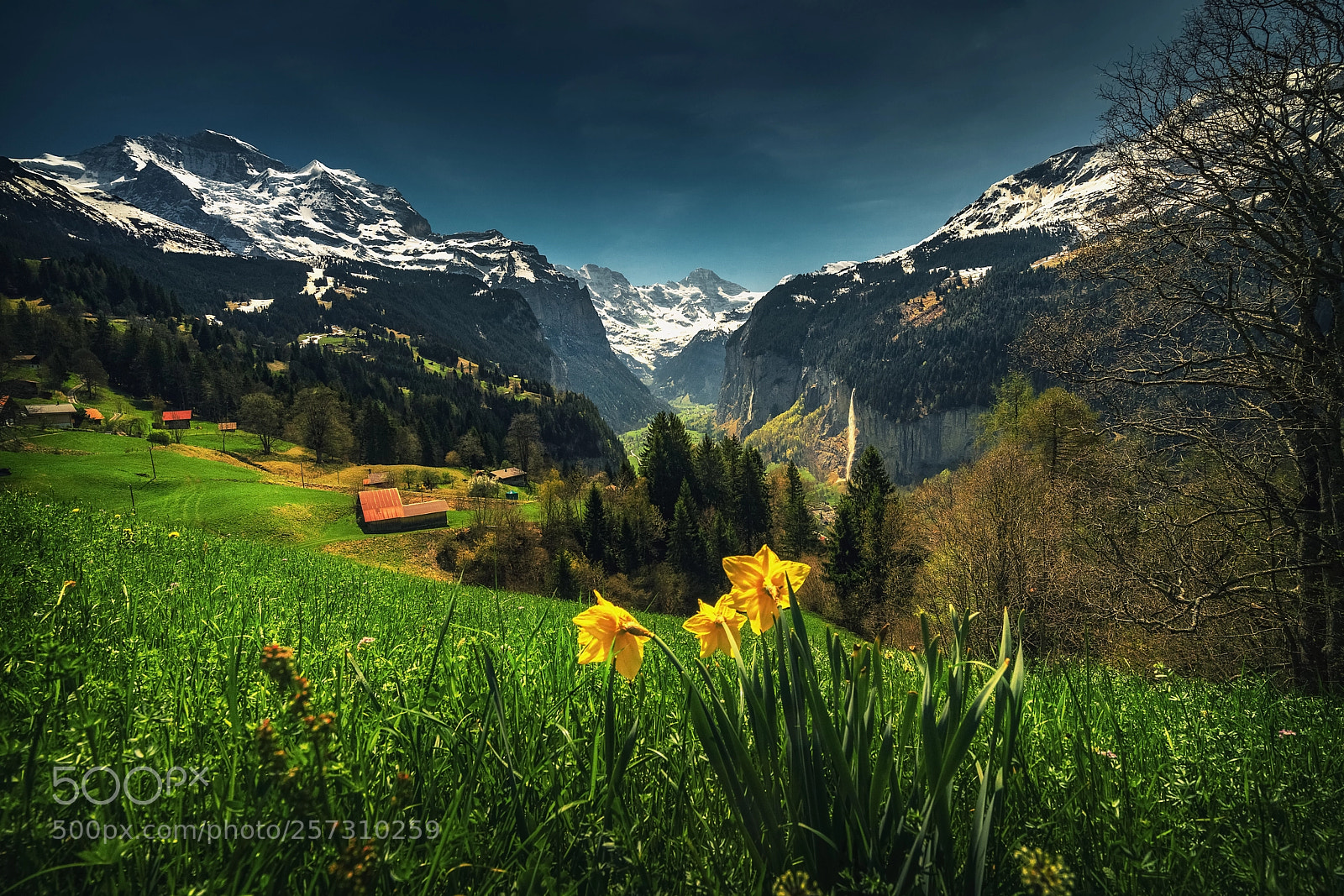 Sony a7R II sample photo. Lauterbrunnen switzerland photography