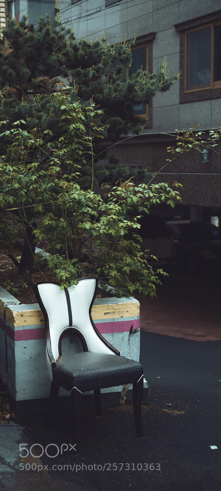 Nikon D850 sample photo. Leave alone photography