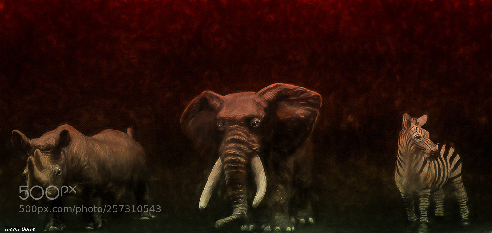 Canon EOS 650D (EOS Rebel T4i / EOS Kiss X6i) sample photo. Animal wild fire photography