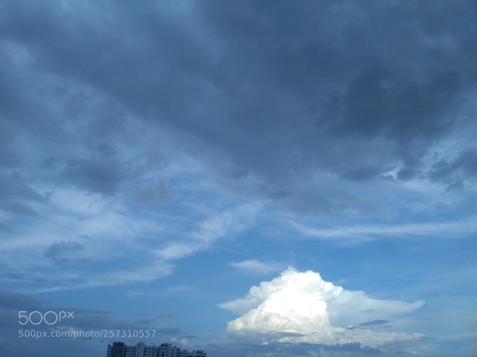 Xiaomi Redmi 3S sample photo. Img_20180510_171919.jpg photography