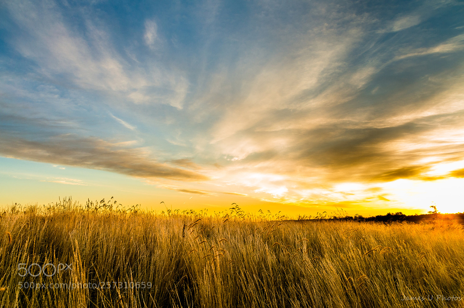 Nikon D3200 sample photo. Morning burst photography