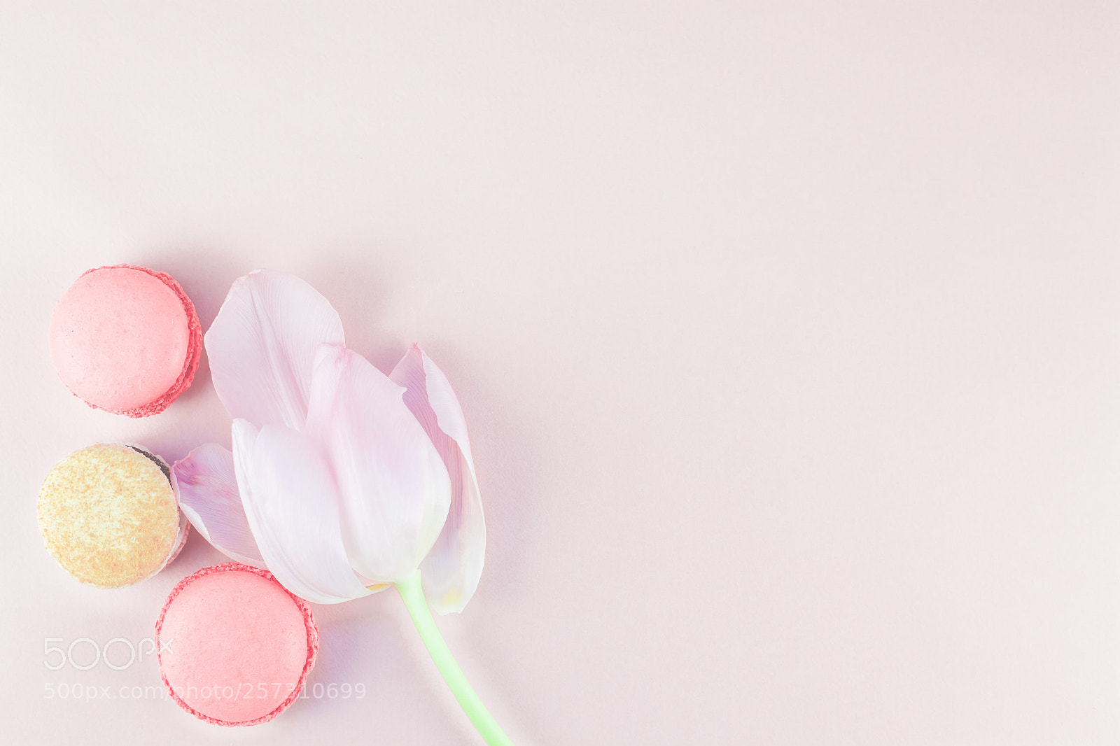 Canon EOS 5D Mark II sample photo. Flat lay of macaroons photography