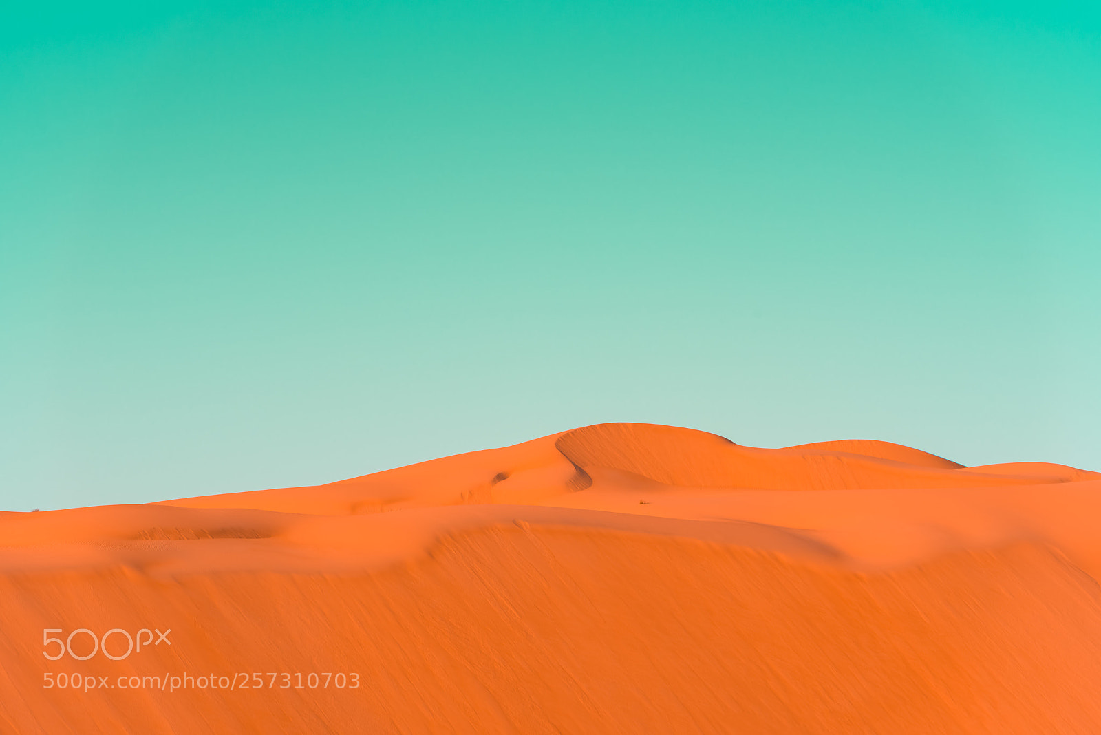 Nikon D810 sample photo. Desert dunes photography