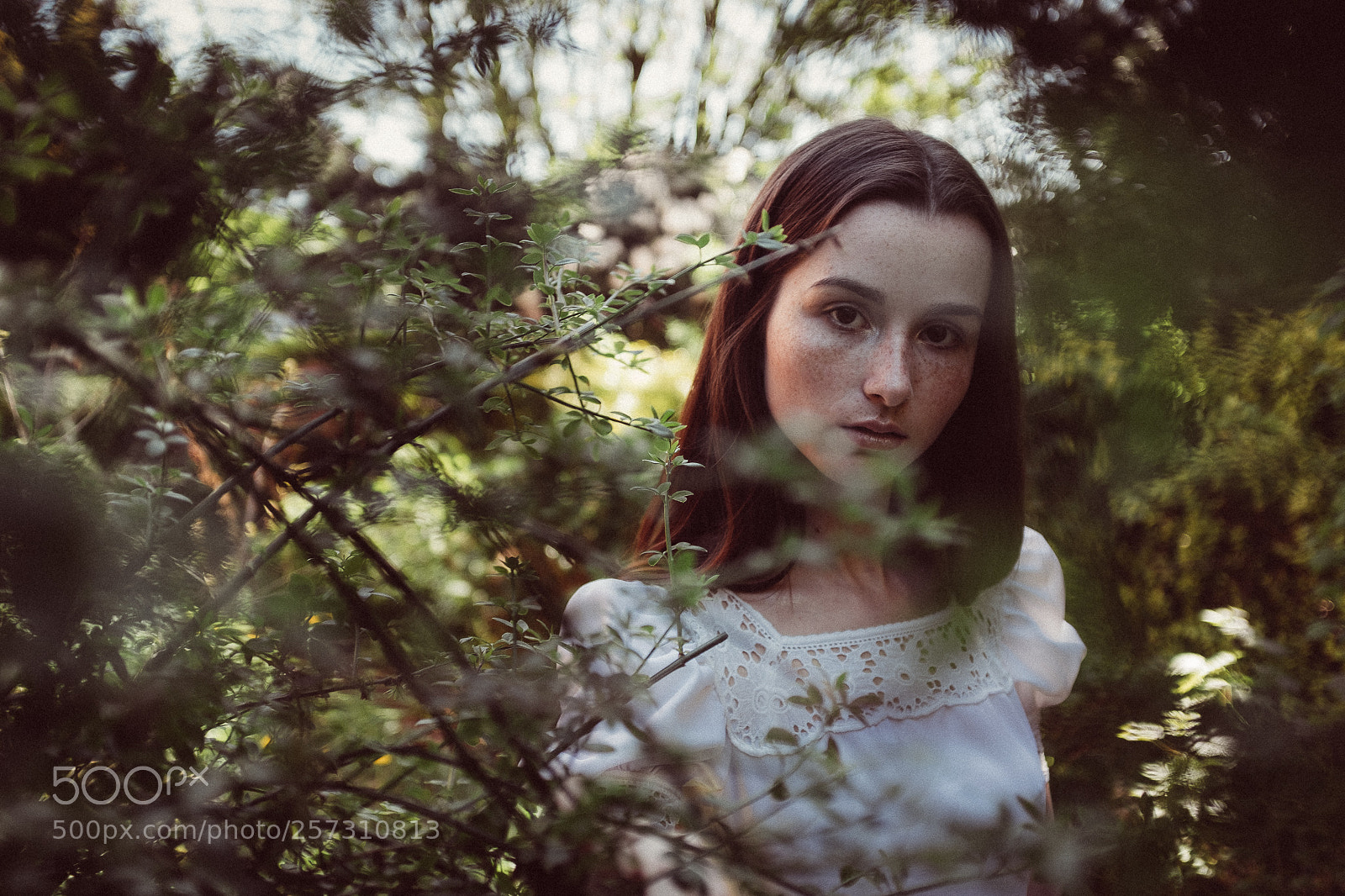 Fujifilm X100F sample photo. Rieke photography