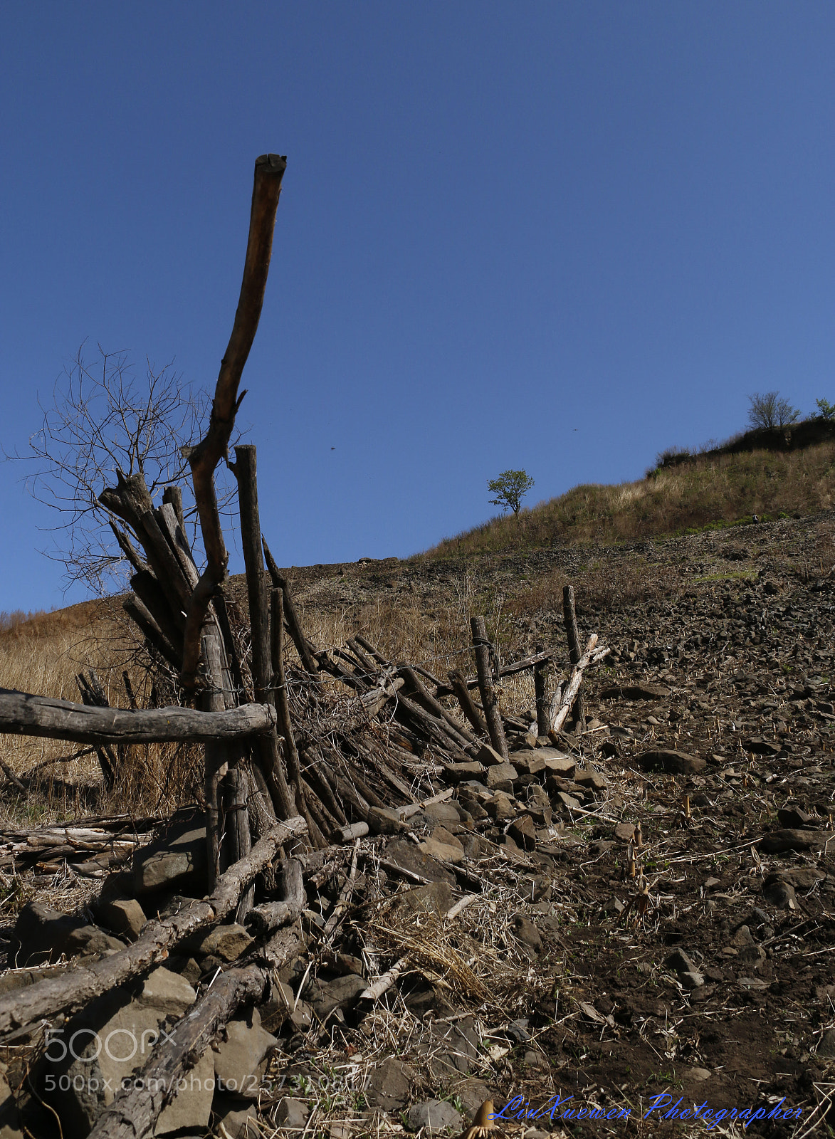 Canon EOS 70D sample photo. The road up the photography