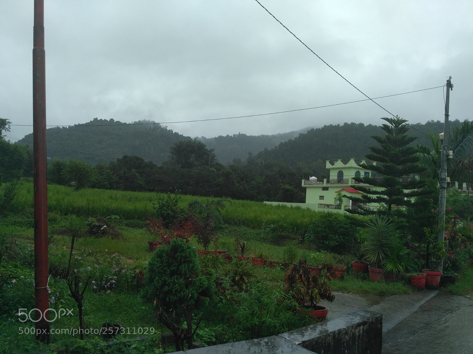 Xiaomi Redmi 3S sample photo. Img_20170923_123227.jpg photography