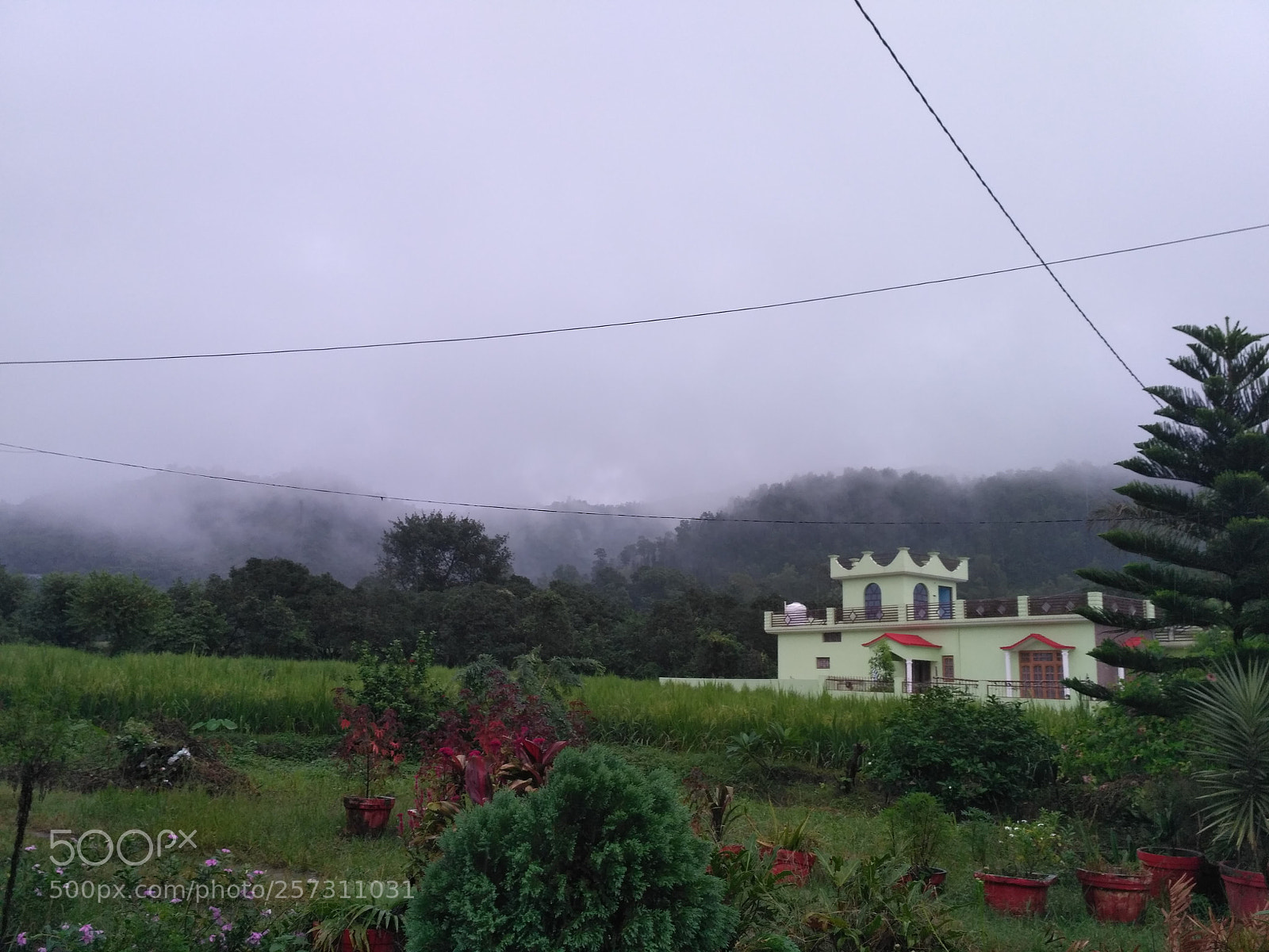 Xiaomi Redmi 3S sample photo. Img_20170923_143009.jpg photography
