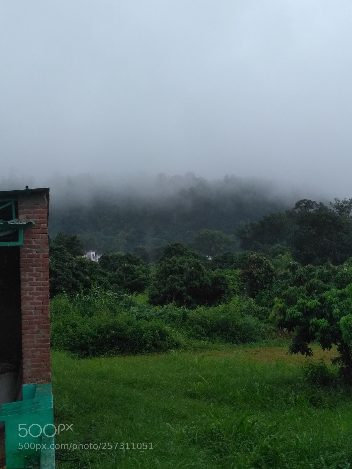 Xiaomi Redmi 3S sample photo. Img_20170923_143318.jpg photography
