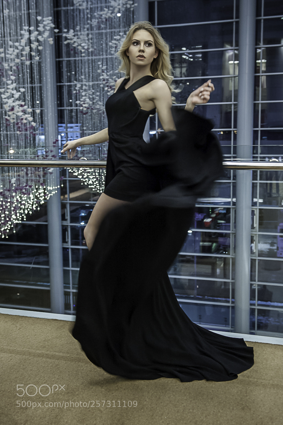 Nikon D3 sample photo. Untitled photography