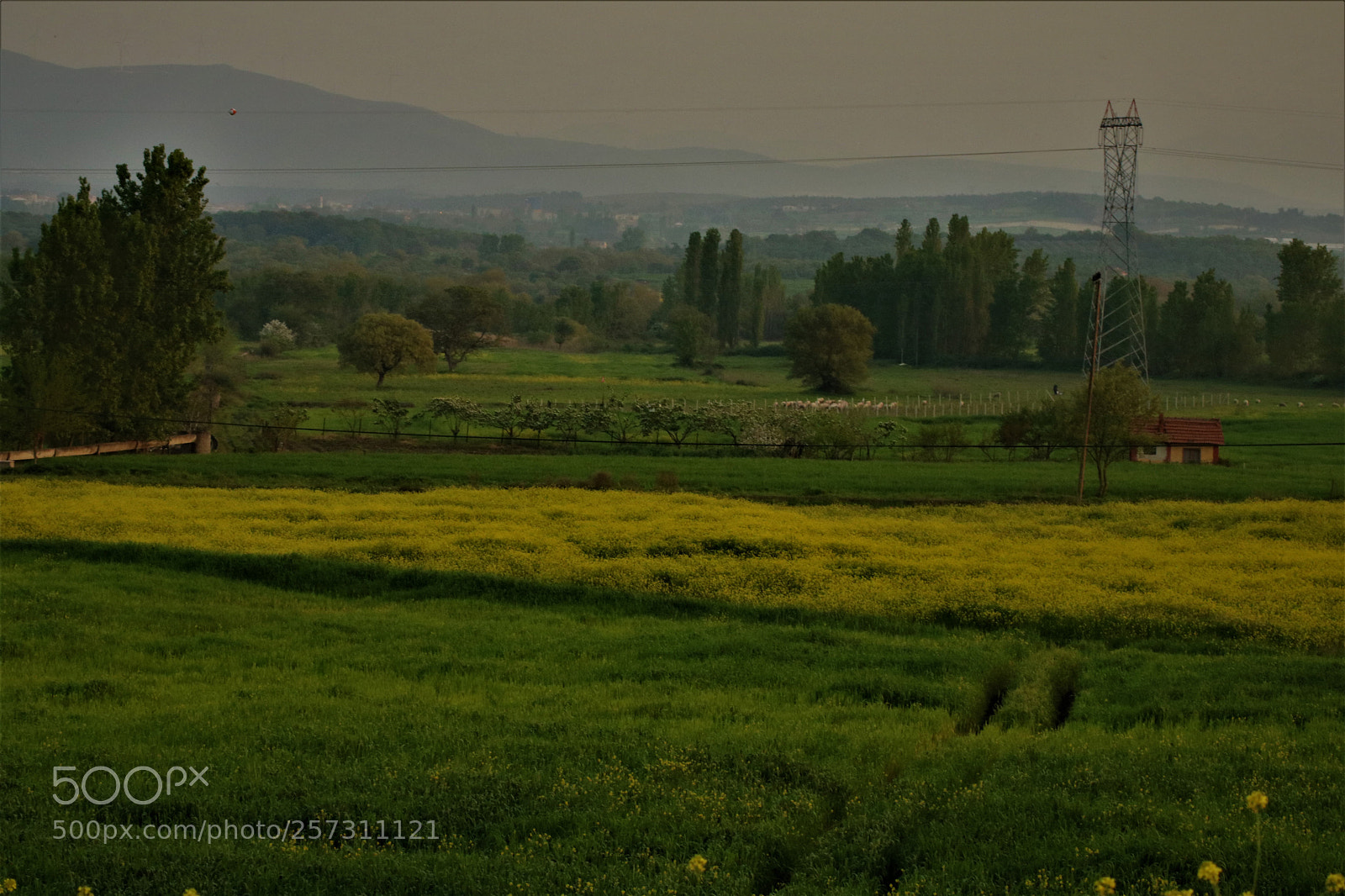 Canon EOS 750D (EOS Rebel T6i / EOS Kiss X8i) sample photo. Farm,nature ,green photography