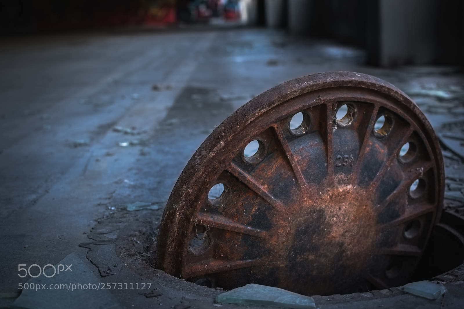 Nikon D3300 sample photo. Lost.sewerage photography