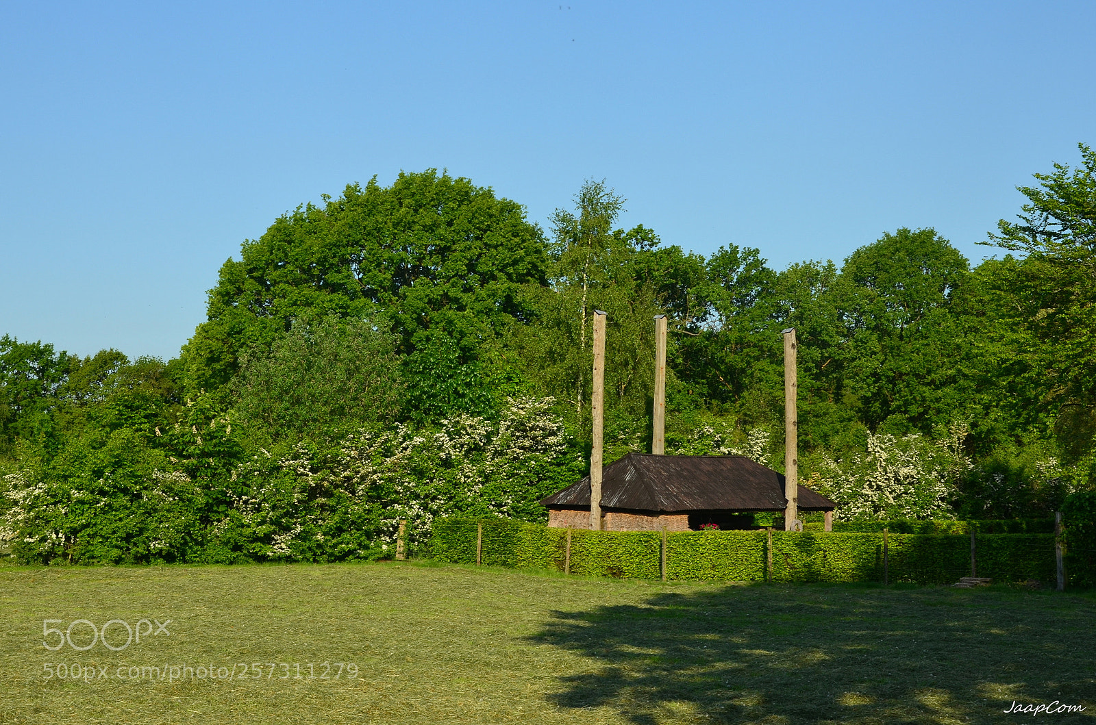 Nikon D5100 sample photo. Wezep landscape photography