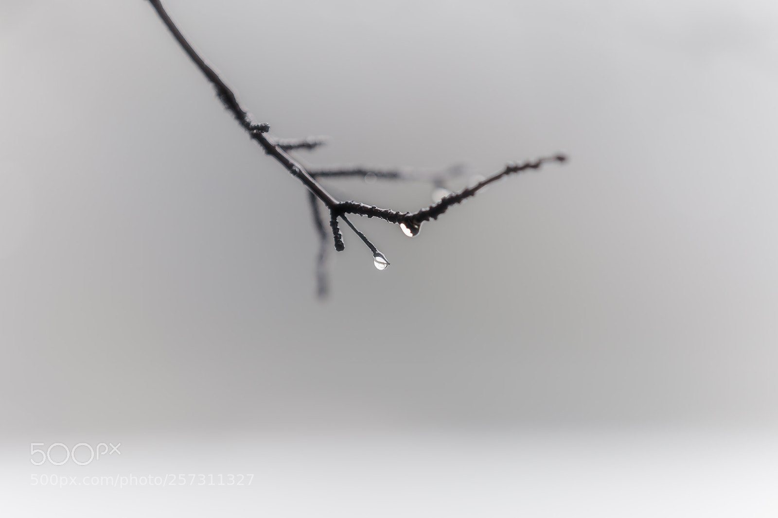 Canon EOS 6D sample photo. The thaw photography