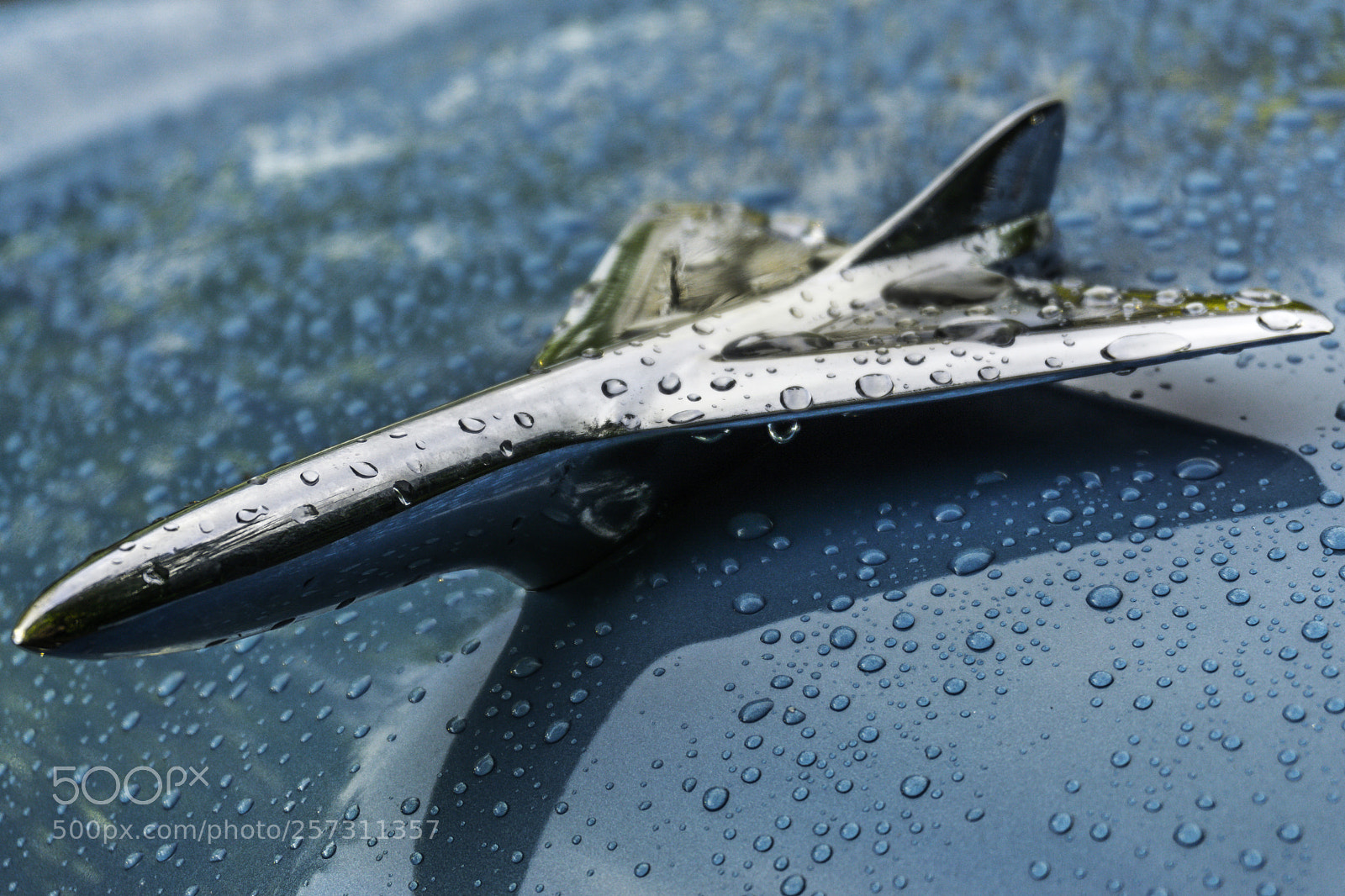 Sony a6000 sample photo. Wolviston car show photography