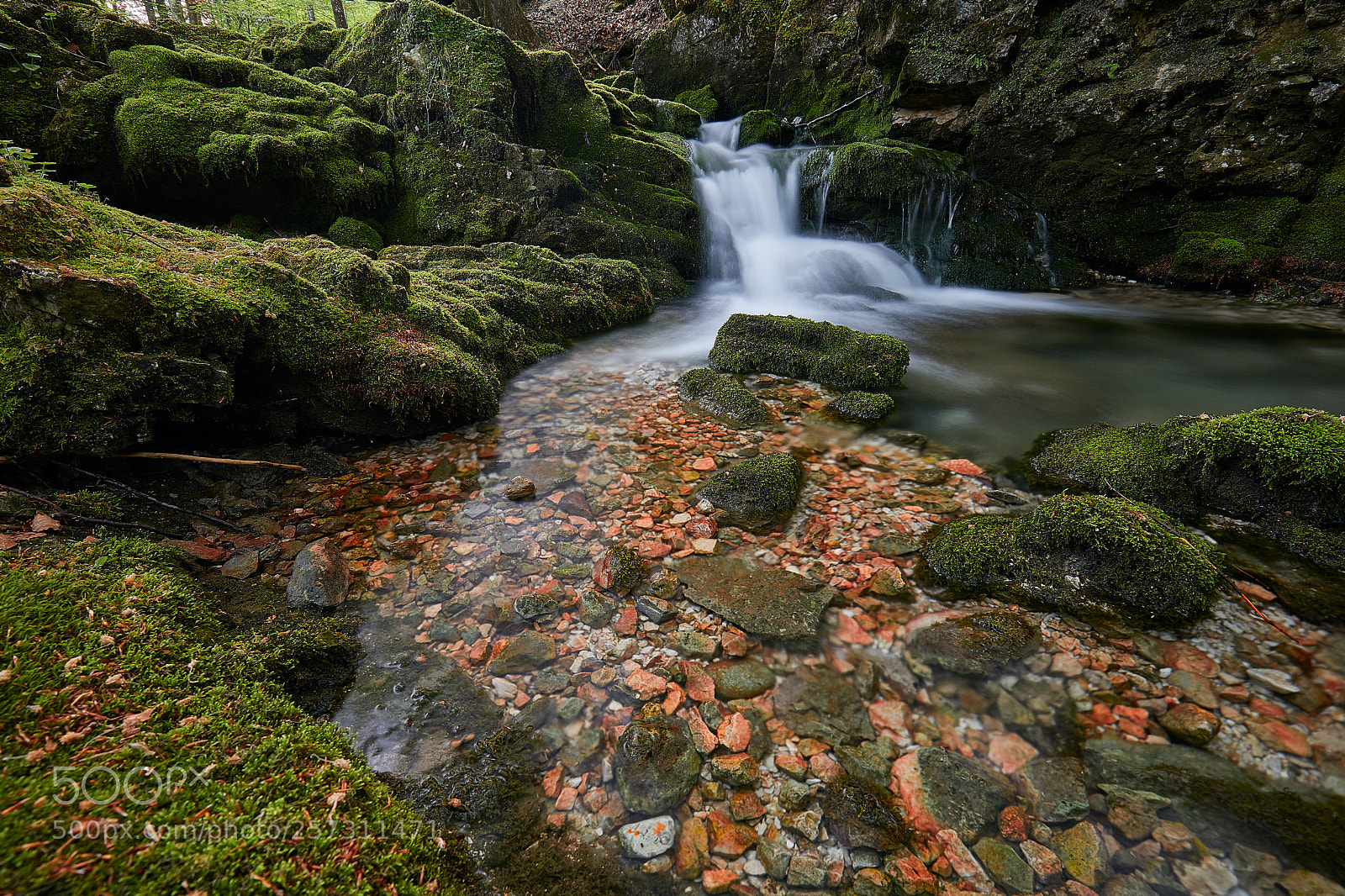 Canon EOS 5D Mark IV sample photo. Mossy creek photography