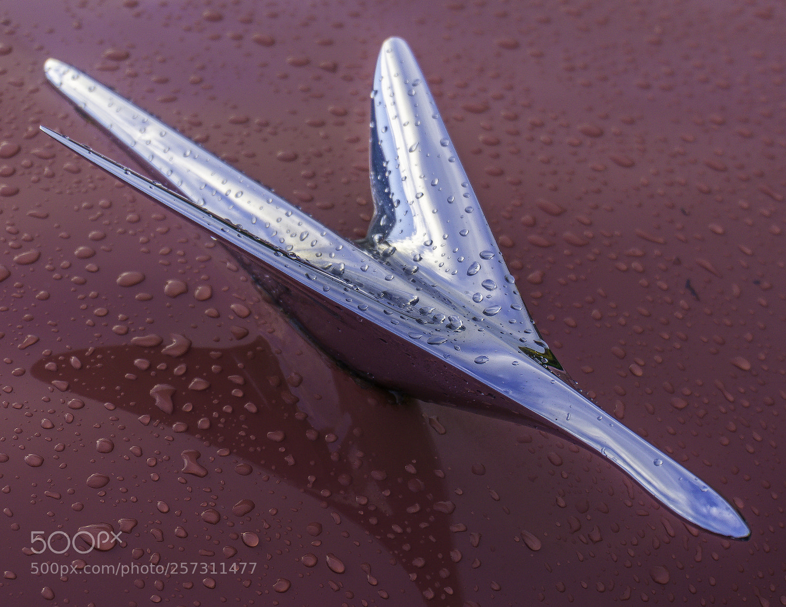 Sony a6000 sample photo. Wolviston car show photography