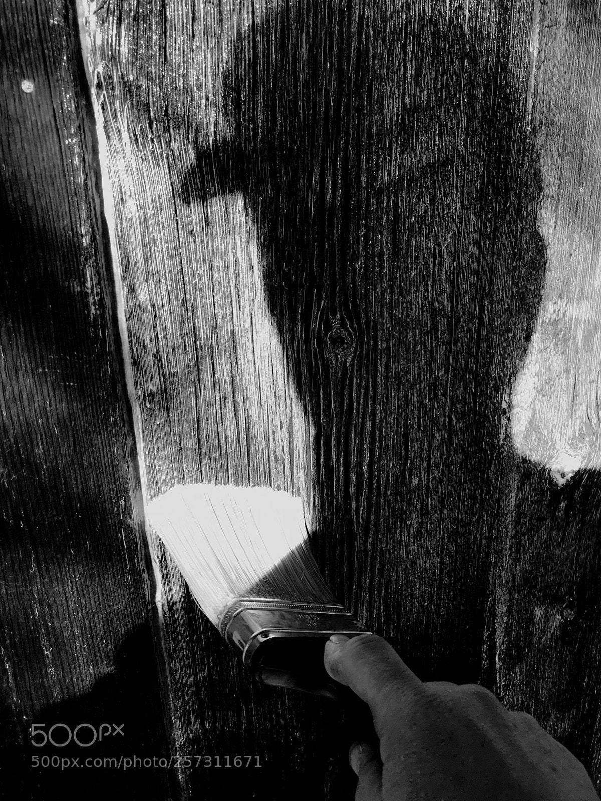 Apple iPhone 7 Plus sample photo. Me and my shadow photography