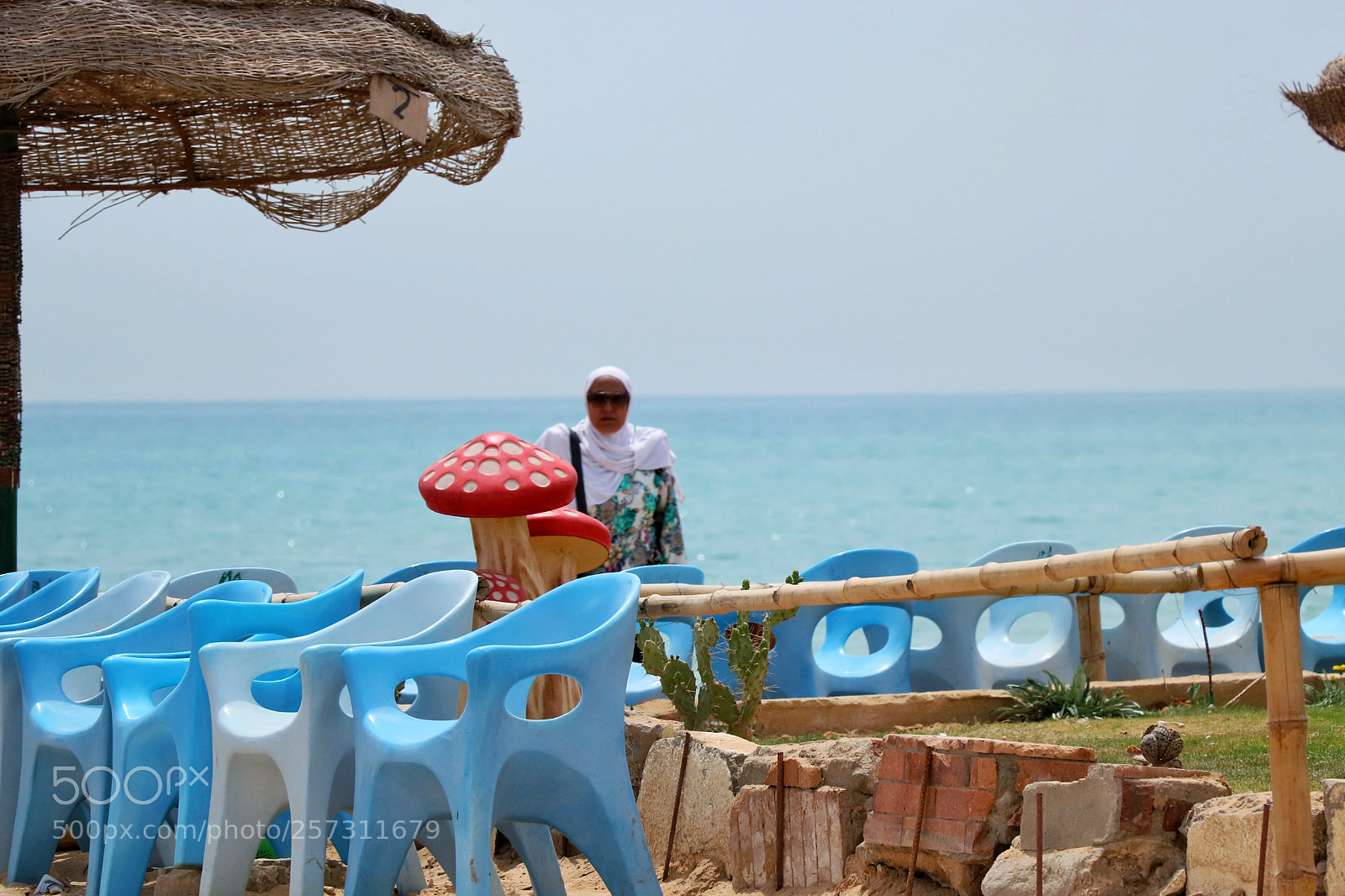 Canon EOS 77D (EOS 9000D / EOS 770D) sample photo. Summer time photography