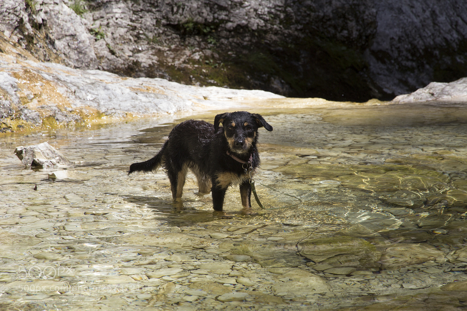Canon EOS 600D (Rebel EOS T3i / EOS Kiss X5) sample photo. Too cold to swim photography