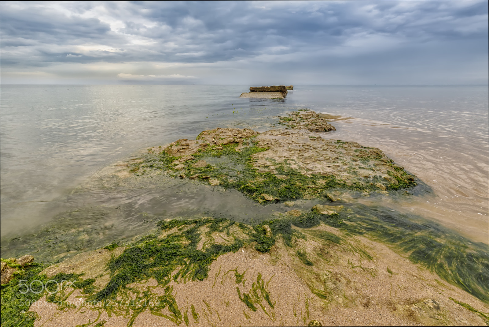Canon EOS 6D Mark II sample photo. Algae photography