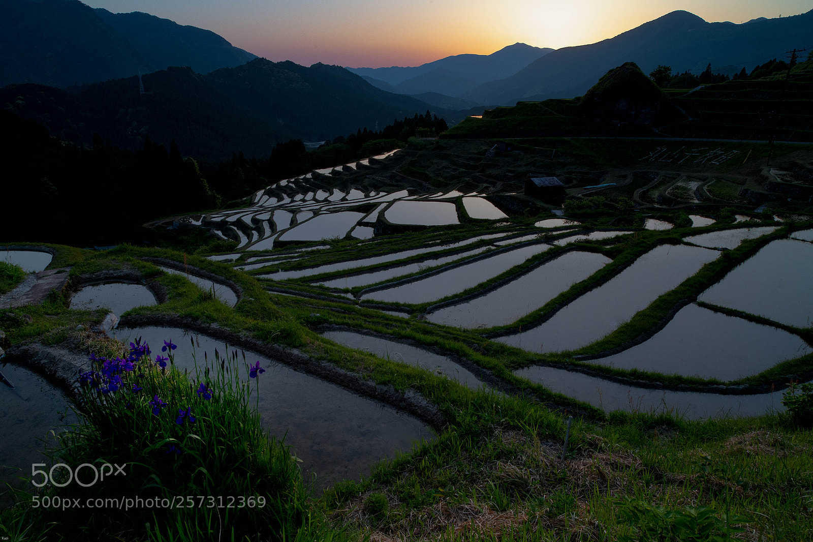 Canon EOS-1D X sample photo. Afterglow rice terrace photography