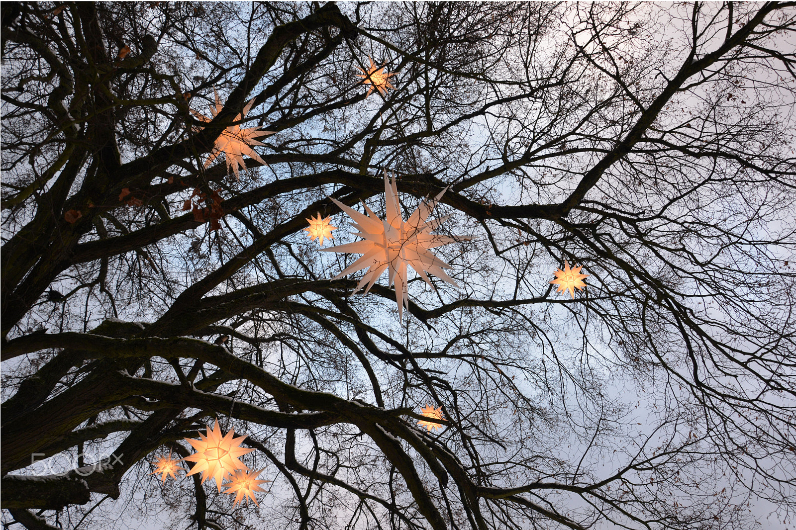 Nikon D5200 sample photo. Herrnhuter sterne photography