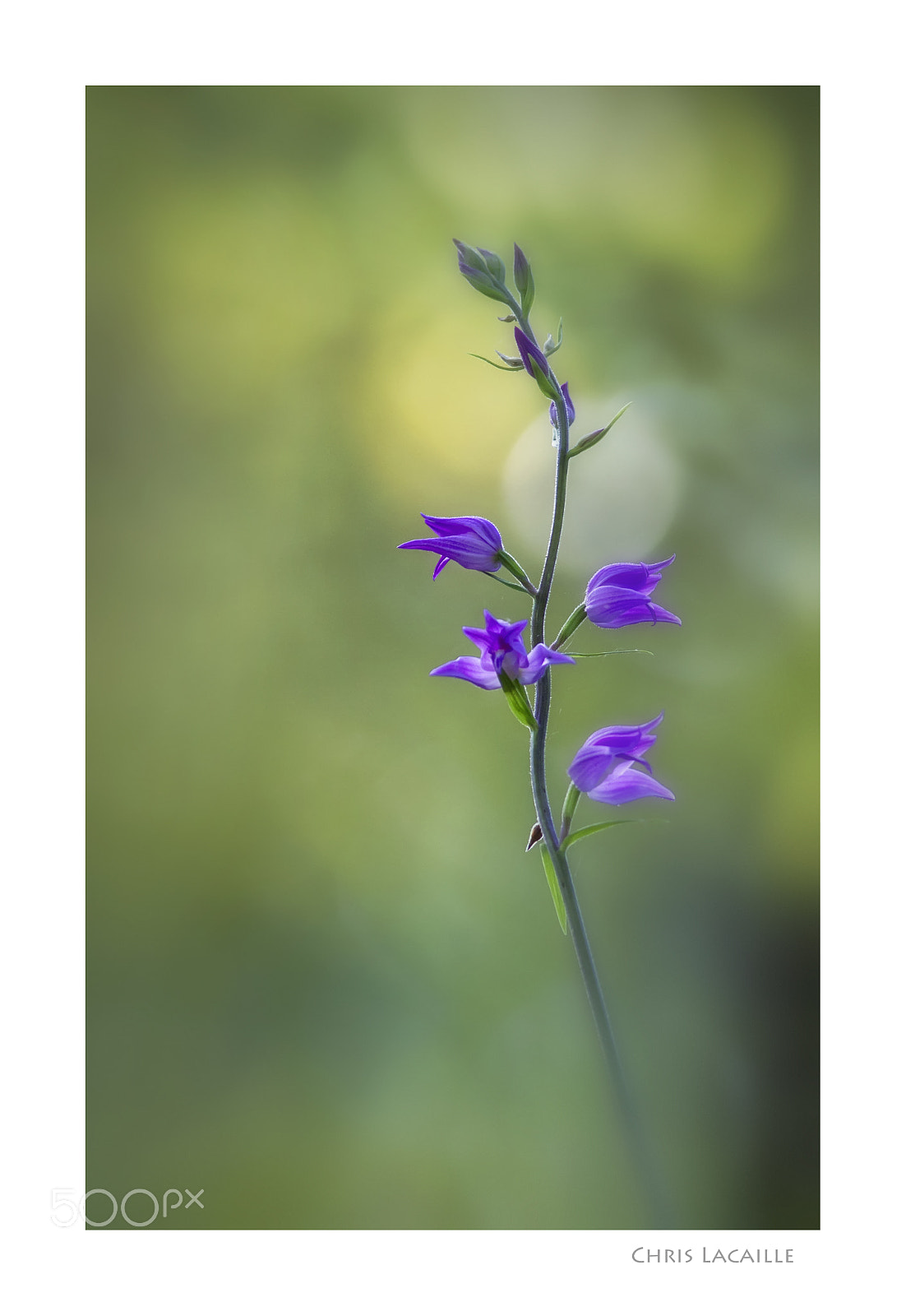 Canon EOS 7D sample photo. 000526.jpg photography