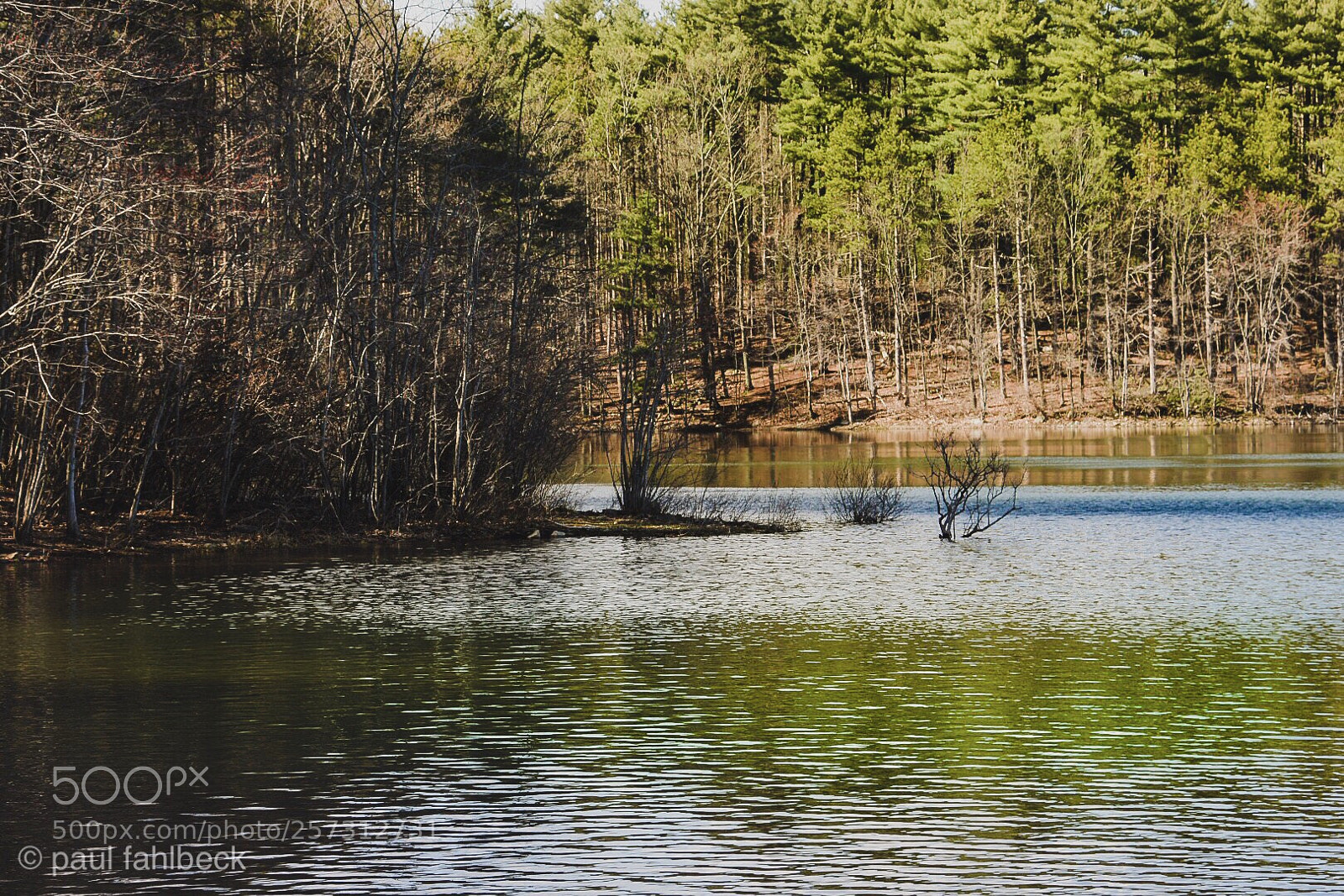 Nikon D7200 sample photo. Dirty water photography