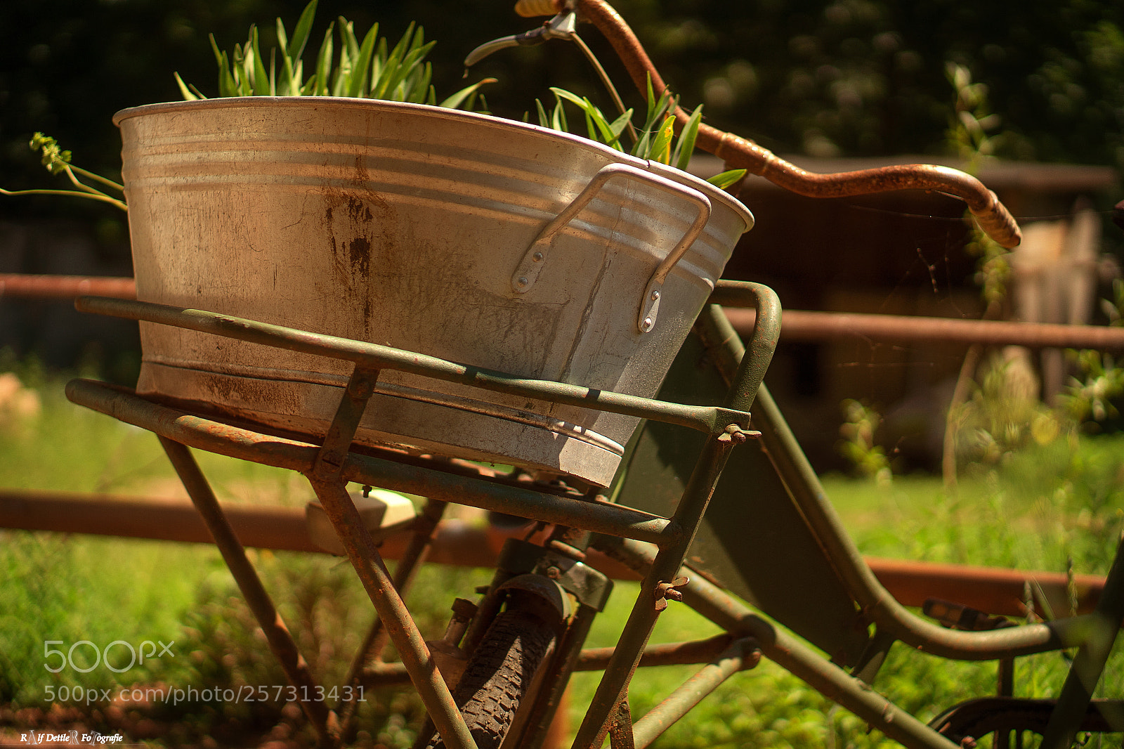 Sony a7 II sample photo. Bicycle and flowers photography