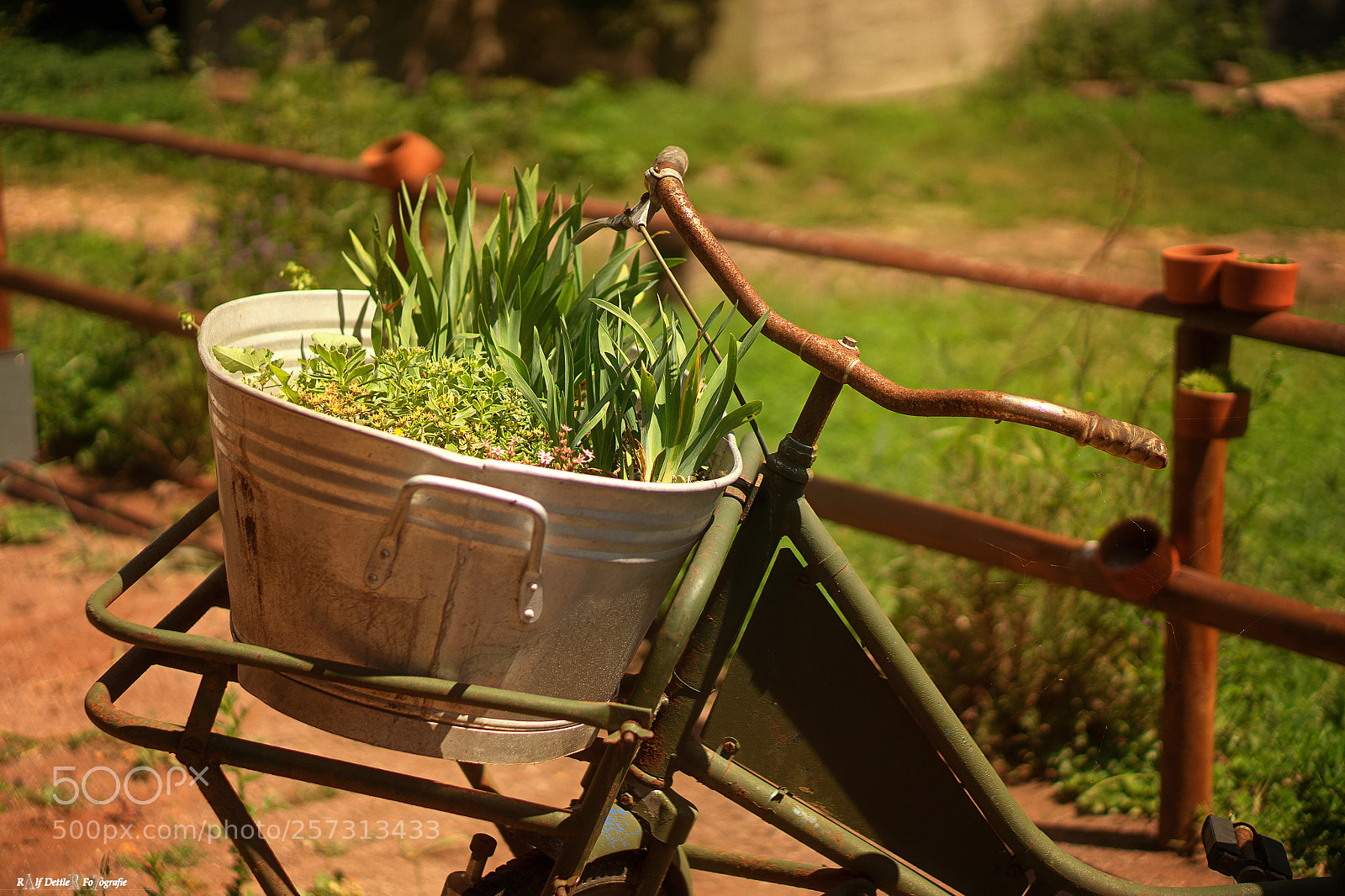Sony a7 II sample photo. Bicycle and flowers photography