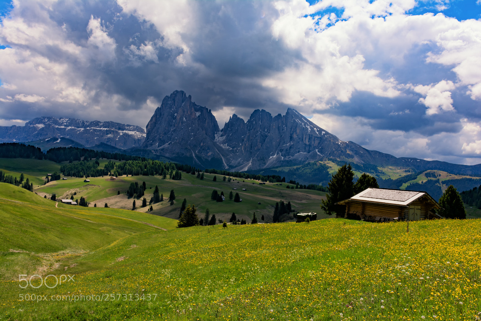 Nikon D7100 sample photo. Alpe di siusi photography