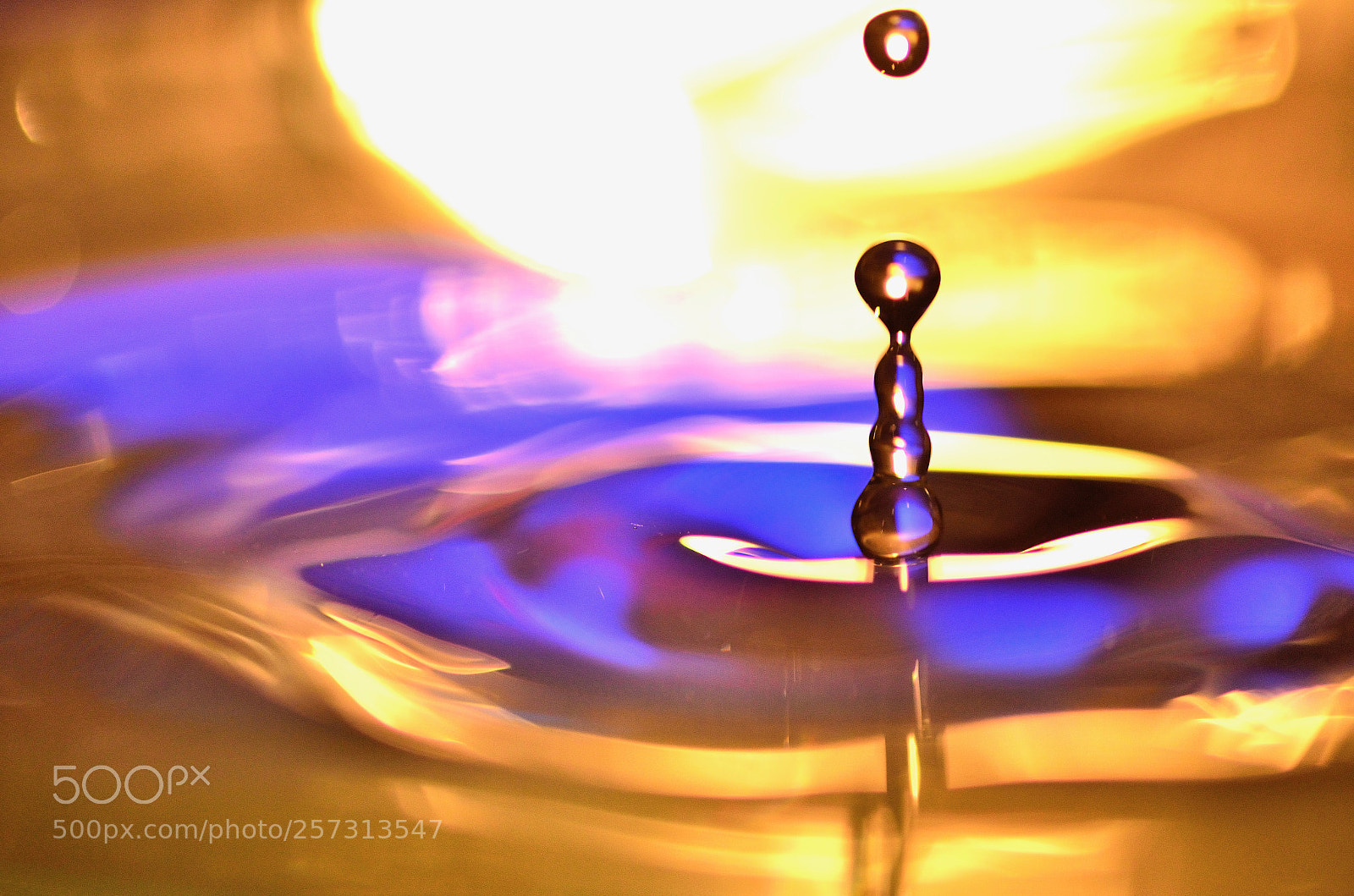 Nikon D7000 sample photo. Untitled photography