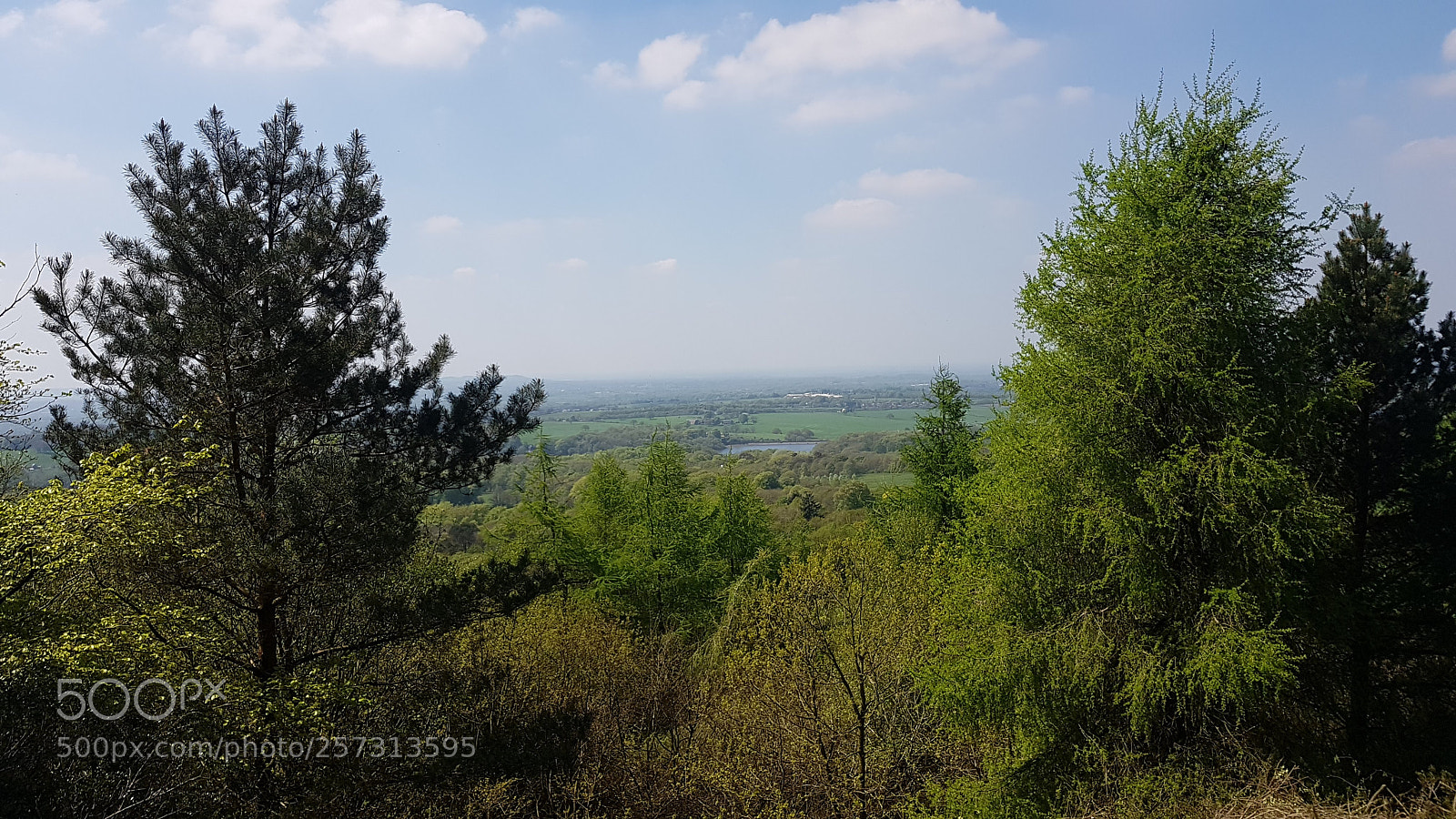 Samsung Galaxy S8+ sample photo. Untitled photography