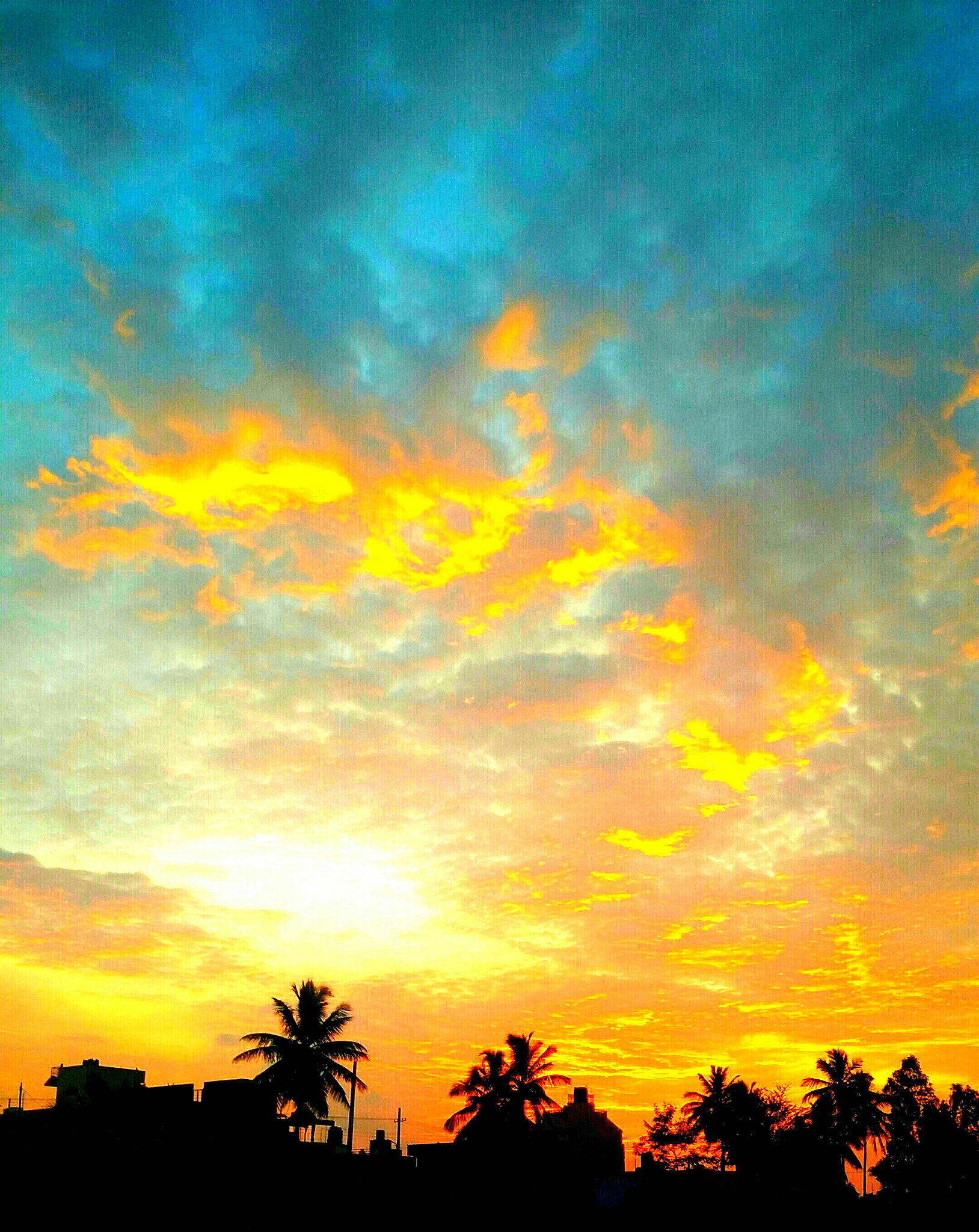 OnePlus ONE E1003 sample photo. Sunrise -magic of light and colour photography