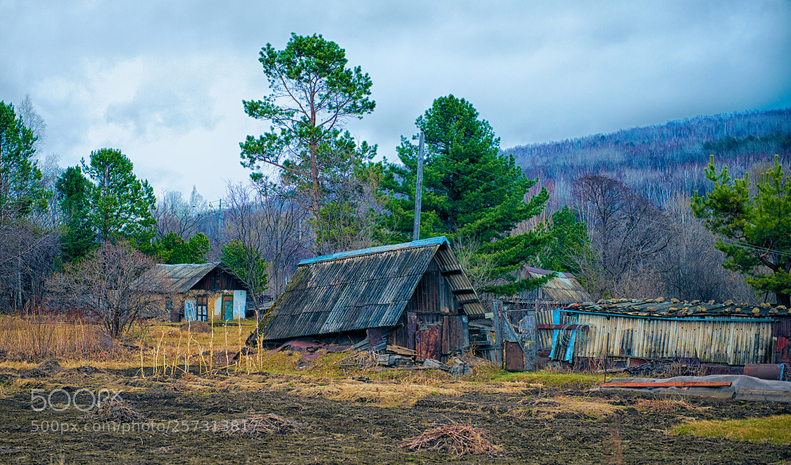 Nikon D800 sample photo. Siberian spring photography