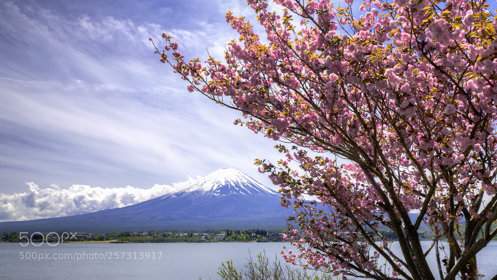 Canon EOS 6D sample photo. Fuji fuji photography