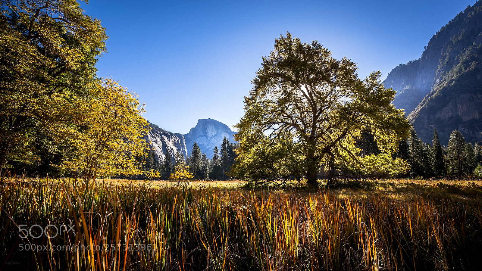 Canon EOS 6D sample photo. Half dome photography