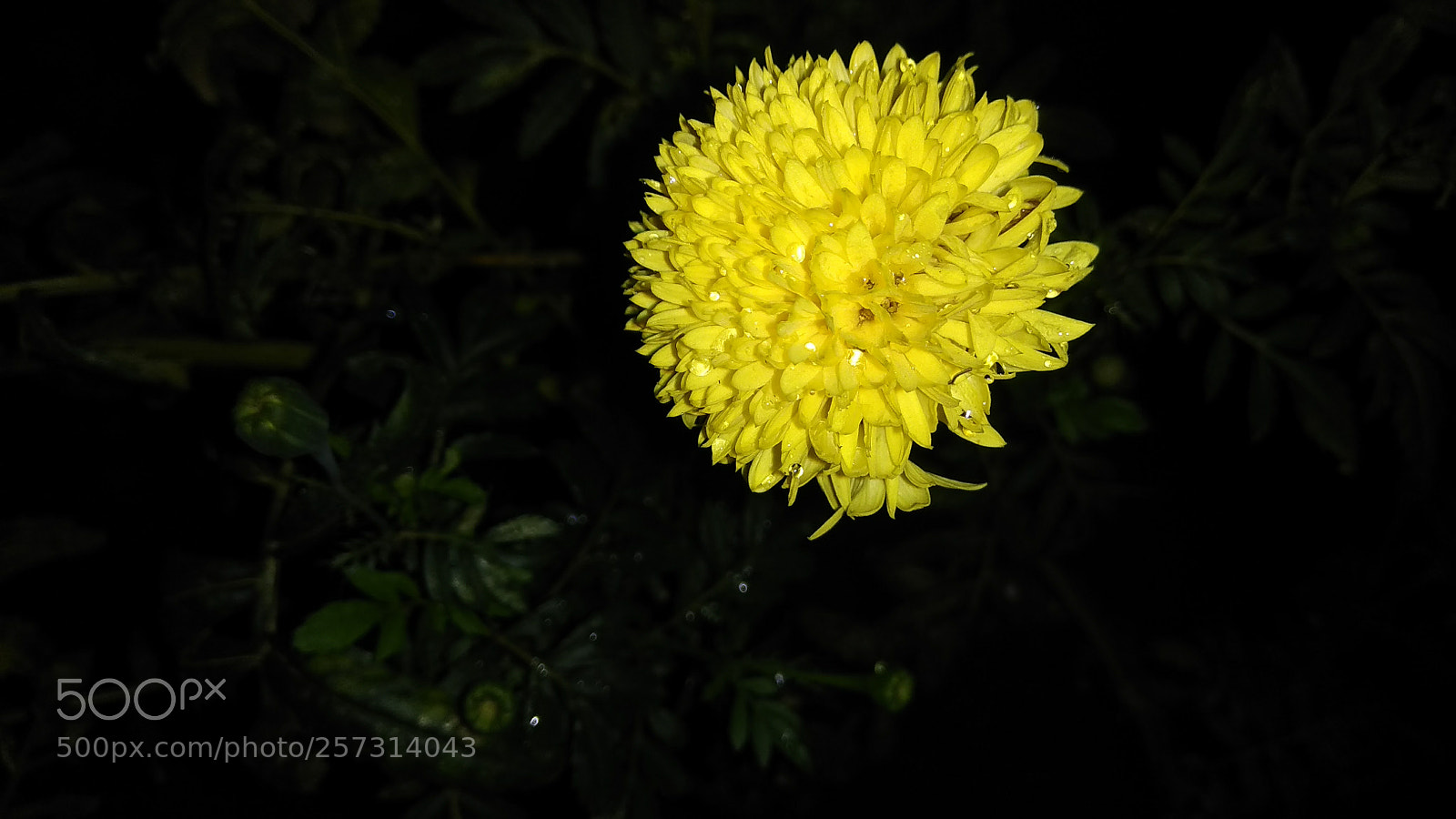 Xiaomi Redmi Note 4 sample photo. Img_20171022_182150.jpg photography