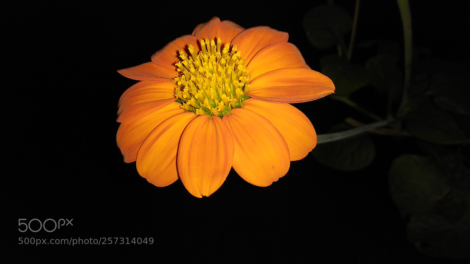 Xiaomi Redmi Note 4 sample photo. Img_20171022_182504.jpg photography