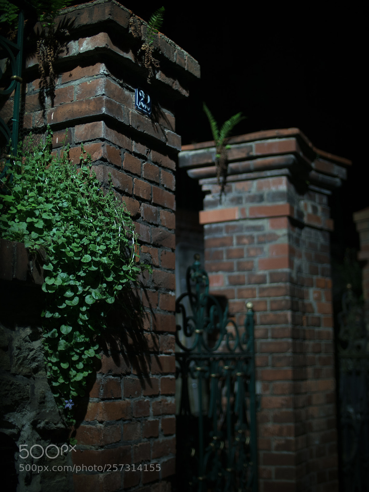 Olympus PEN-F sample photo. Gate photography
