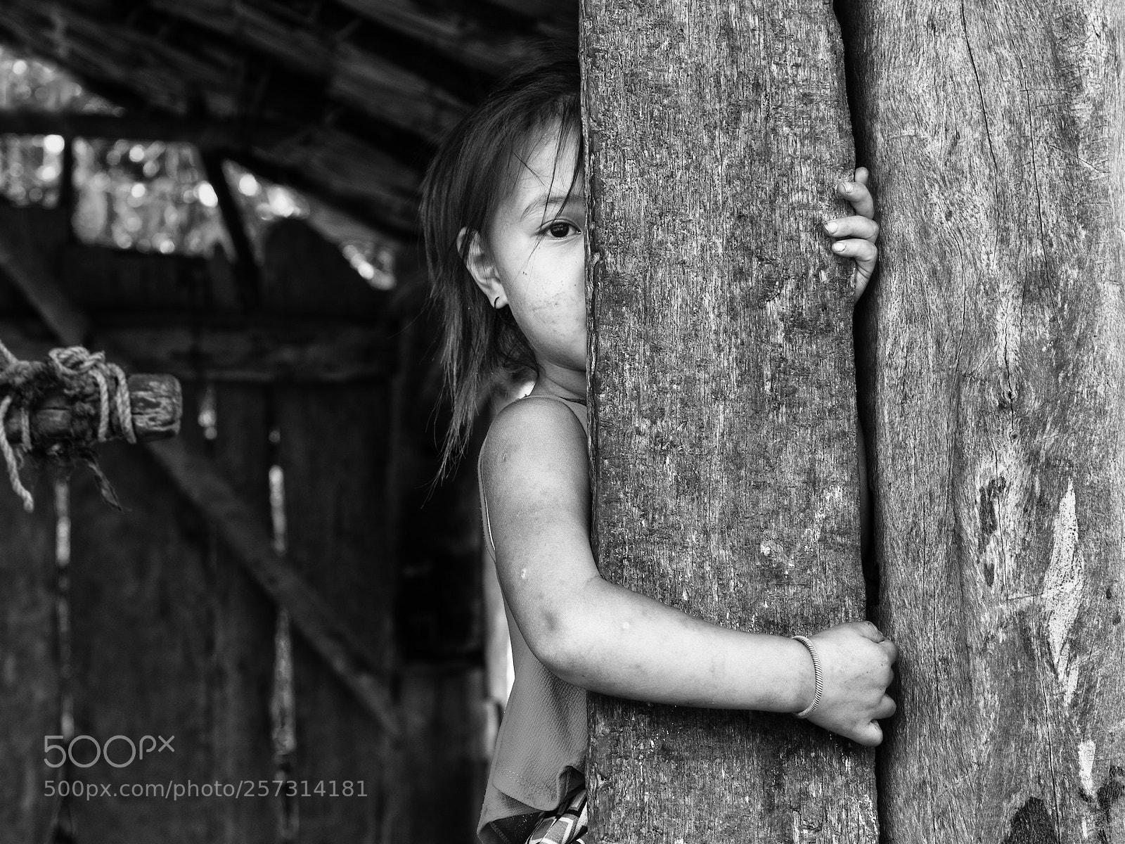 Canon EOS 5D Mark II sample photo. Curiosity photography